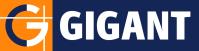 Gigant International logo